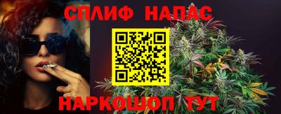 гидропоника Моздок