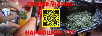 PSILOCYBIN Можга